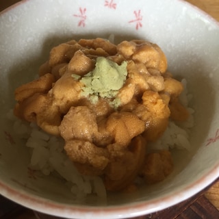 正真正銘 うに丼